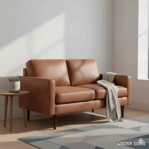 A compact top-grain leather loveseat ideal for small apartments and budget-friendly living rooms.